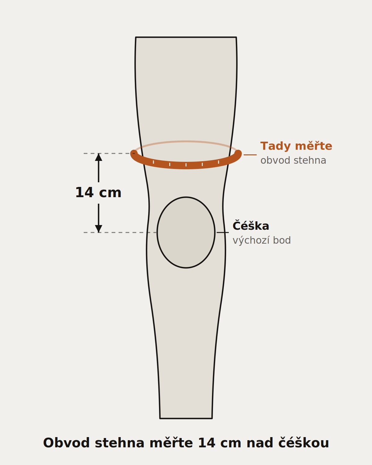 Schéma měření obvodu stehna 14 cm nad čéškou